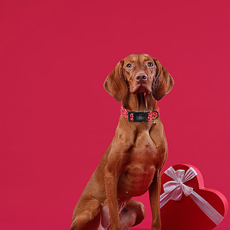 Elegant little tail Valentine's Day Dog Collar-Cute Red Heart Dog Collar for Medium Dogs, Female or Male Adjustable Cotton Pet Collar with Quick Release Buckle for Small Medium Large Dogs Medium (Pack of 1) - BeesActive Australia
