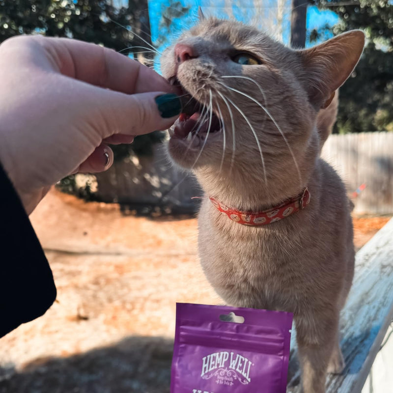 Hemp Well Cat Hairball Soft Chews for Cats, Hairball Control & Digestive Support, Organic Hemp Seed Powder, Pumpkin Seed & Psyllium Fiber, Skin & Coat Support, Chicken Cheese & Catnip Flavor, 120 Ct 120 Soft Chews