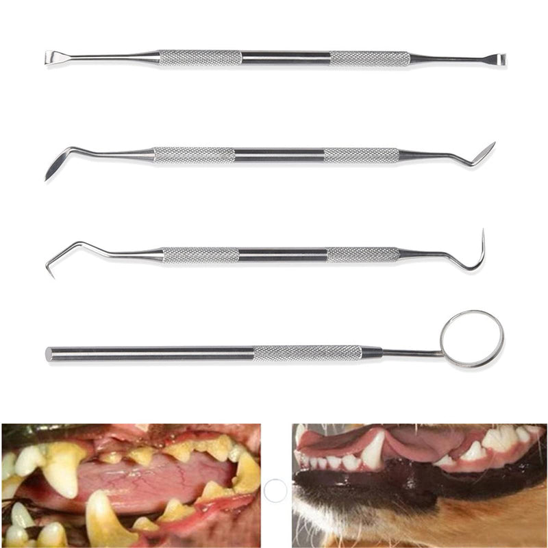 Symphonyw Calculus Stainless Steel Dog Remover, Pack of 2
