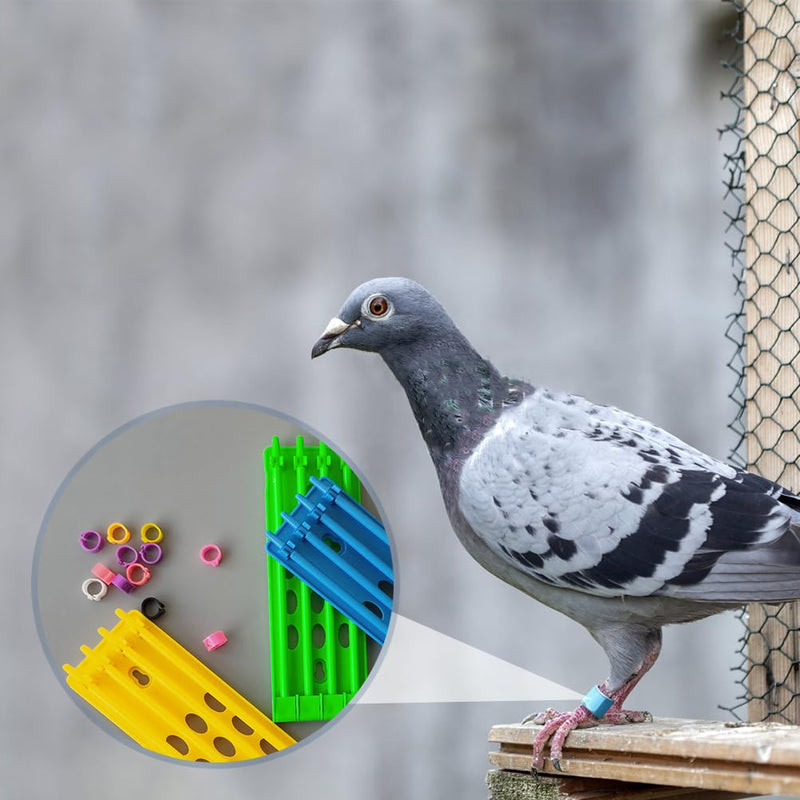 VANZACK 3pcs Pigeon Ring Stand Pigeon Ring Frame Pants Parrot Clip Ring Holder Budgie Foot Leg Accessory Pigeon Foot Ring Holder for Bird License Plate Decorations Round Plastic - BeesActive Australia
