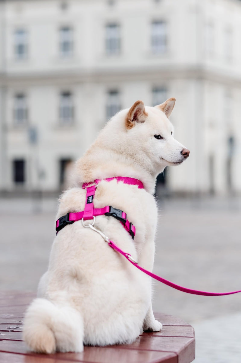 Chaba Guard Dog Harness for Small and Medium Dogs with Control, Anti-Pull & Choking, Adjustable, Comfortable and Lightweight, Classic Step-in Chest Harness, Dog Harness, Size M, Fuschia Pink - BeesActive Australia