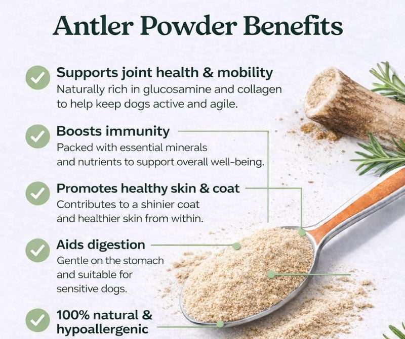 Premium Antler Powder for Dogs 150g | Natural Joint, Bone & Coat Supplement | Rich in Calcium, Phosphorus & Minerals | Grain-Free Hypoallergenic Dog Supplement | Healthy Support for All Breeds & Sizes