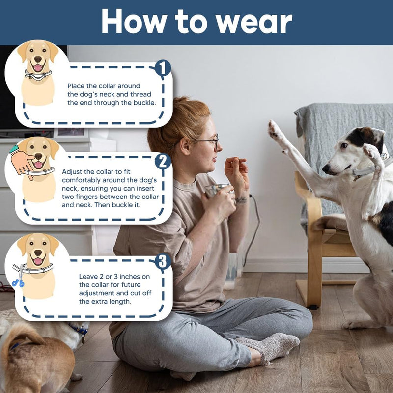 Dog Flea and Tick Collars, Natural Flea Repellent for Dogs, Tick Collars for Dogs, Dog Flea Collars, 8 Months Prevention, Suitable for Large Dogs, Medium Dogs, Small dogs-2P - BeesActive Australia