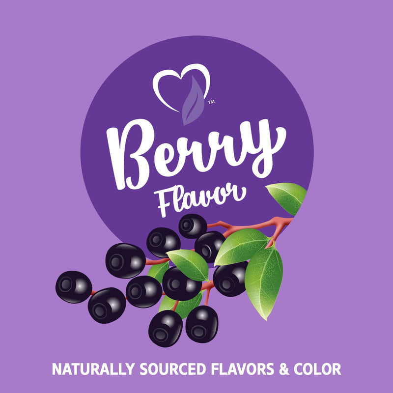 21st Century VitaJoy Sambucus Elderberry Gummies, Immune Support, 60ct | Sambucus Elderberry Gummies with Vitamin C & Zinc, Immune Support, Natural Berry Flavor, A Delicious Daily Immune Gummy