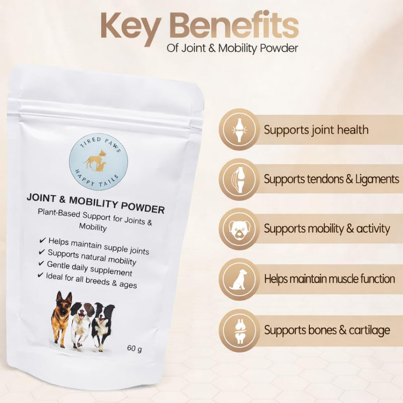 TPHT Dog Joint Supplement – Hip & Joint Supplement for Dogs – Joint Supplements for Dogs with Stiff Joints – Daily Joint Care for Dogs – Mobility Support for Older Dogs – 60g