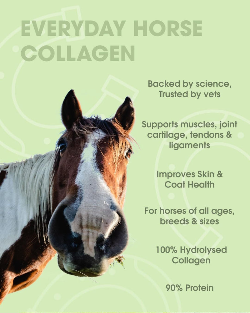 Everyday Collagen Powder for Horses, Bioactive Equine Collagen Peptide Powder, Vet Approved Horse Advanced Joint Supplement for Mobility, Skin & Muscle, All Breeds and Ages (750g)
