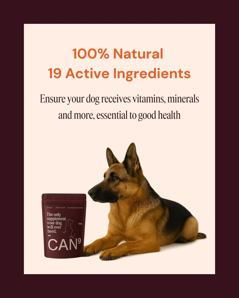 All-in-One Daily Supplement Powder for Dogs
