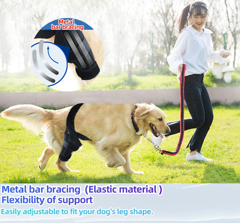 L Dog Leg Braces for Back Leg for Support with Cruciate Ligament Injury-Better Recovery with Dog Knee Brace for Torn Acl Hind Leg-Adjustable Hip Dysplasia Dog Acl Brace Hind Leg Rear New((L)