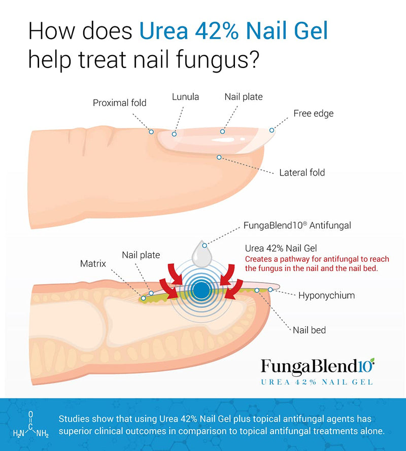 FungaBlend 10 - Urea 42% Nail Gel to Cure Fungus Faster - Delivers Antifungal Medication Directly to Fungus - Quick Results Topical Solution for Toe and Finger Nail Repair Treatment - BeesActive Australia