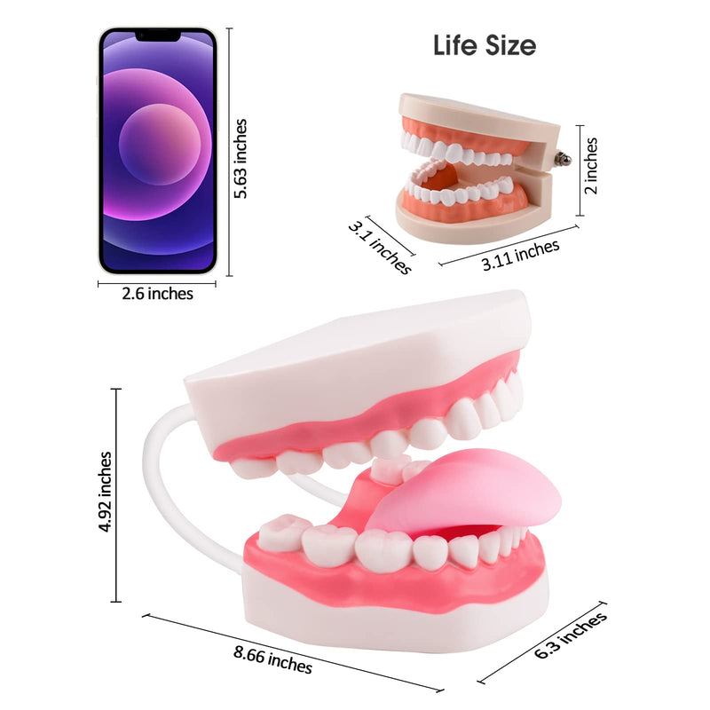 Ultrassist Mouth Model White Hinge for Speech Therapy, Ideal Brushing Teaching Dental Teeth Model for Kids and Children, 6 Times Enlarge, Includes Toothbrush - BeesActive Australia