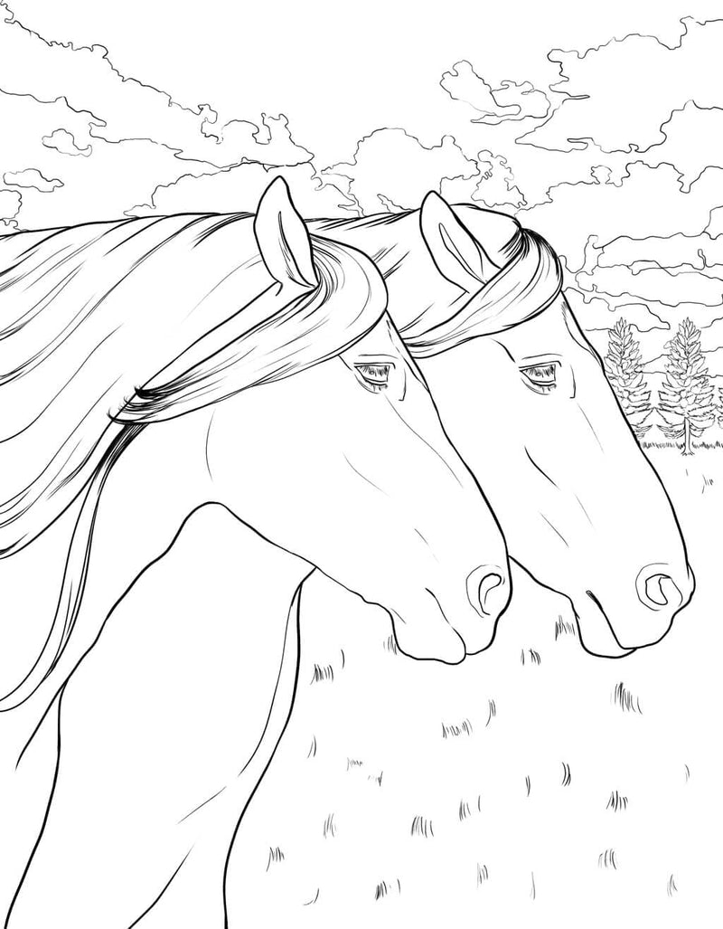 Horse Coloring Book: For Kids Ages 9-12 (Young Dreamers Coloring Books) - BeesActive Australia