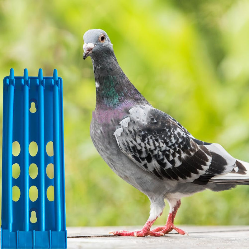 VANZACK 3pcs Pigeon Ring Stand Pigeon Ring Frame Pants Parrot Clip Ring Holder Budgie Foot Leg Accessory Pigeon Foot Ring Holder for Bird License Plate Decorations Round Plastic - BeesActive Australia