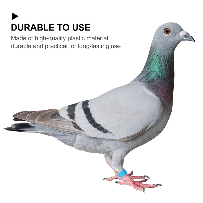 EXCEART Chicken Legs 100 Pcs Bird Rings Pigeon Foot Rings Plastic Multi- Colour Pigeon Foot Bands Clip on Multi- Color Leg Rings for Chicks Bantam Finch Dove Lovebird Quail Small Poultry Ringd - PawsPlanet Australia