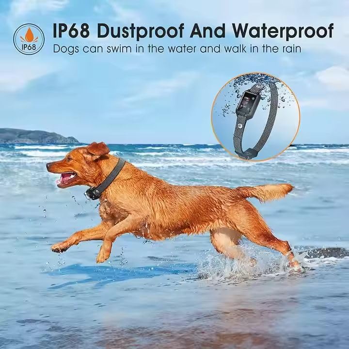 New Waterproof Rechargeable Vibration Small Dog Bark Collar with Sound/Beep/Shock | Dog Shock Anti Bark Control Collar Adjustable for All Small Size Dog 15-120lbs - BeesActive Australia