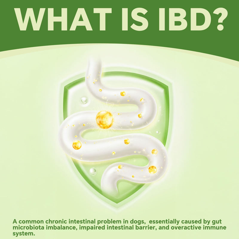 Probiotics for Dogs | Gut Health | Dogs Digestive Support | Dog Constipation Relief | Dog Stomach Upset Medicine | B12 for Dogs Supplement for IBD Support – Digestive Health– Diarrhea & Gas Relief