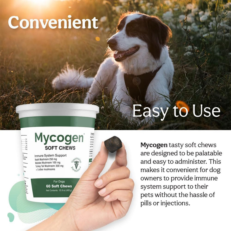 Mycogen Soft Chew for Dogs - 8 Species Mushroom Blend for Critical Immune System Support- Turkey Tail, Reishi, Shiitake, Cordyceps, Black Tree Fungus-120 Tasty Soft Chews 2-Pack 120 chews