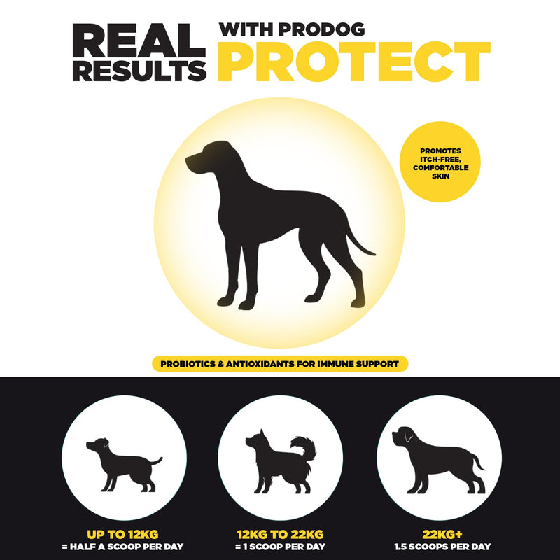 ProDog Protect Itch & Allergy Support for Dogs | 14 Natural Ingredients | Skin Supplement Powder (100g) 100 Gram