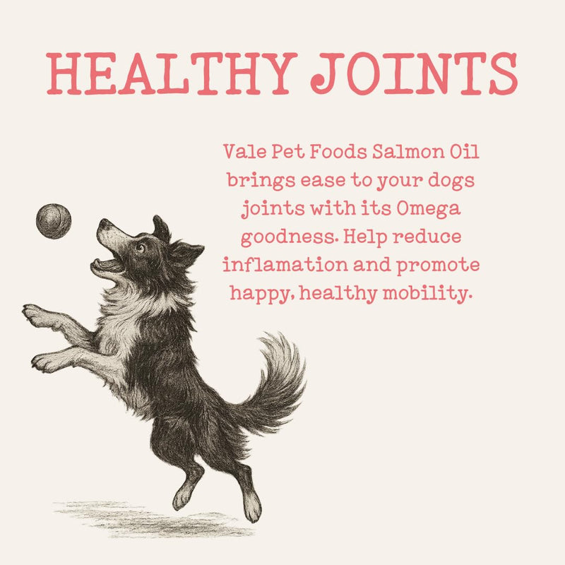 Vale Pet Foods Scottish Salmon Oil for Dogs & Cats UK - Omega 3 6 9 Supplement Dog Food Topper for Joints Skin, Coat, Heart Health & Natural Coat - Natural Fish Oil for Dogs, Puppy, 500ml