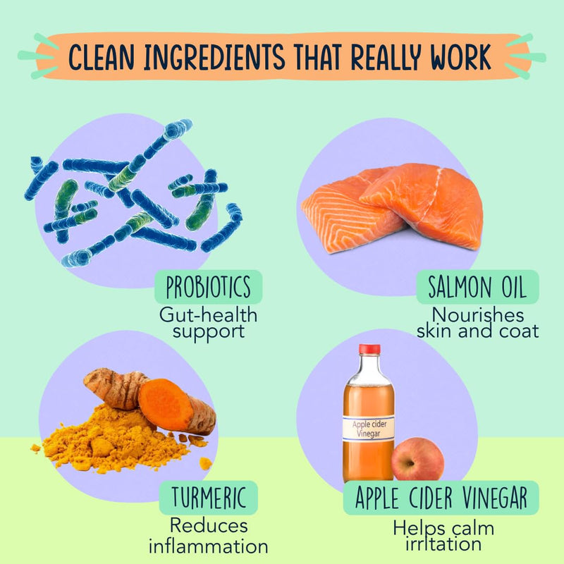 Dog Allergy Relief Chews for Itchy Skin - Stop Paw Licking, Itchy Ears, Support Seasonal Allergy - with Probiotics and Salmon Oil - 120 Count - Bacon Flavor