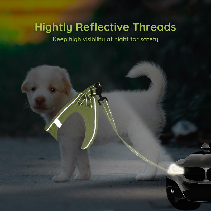 BELLA & PAL Puppy Harness with Leash Set, Dog Harness for Small Dogs No Pull, Dog Leash for Small Dogs, Step in Harness for Extra Small Dogs, Avocado Green Harness, S - BeesActive Australia