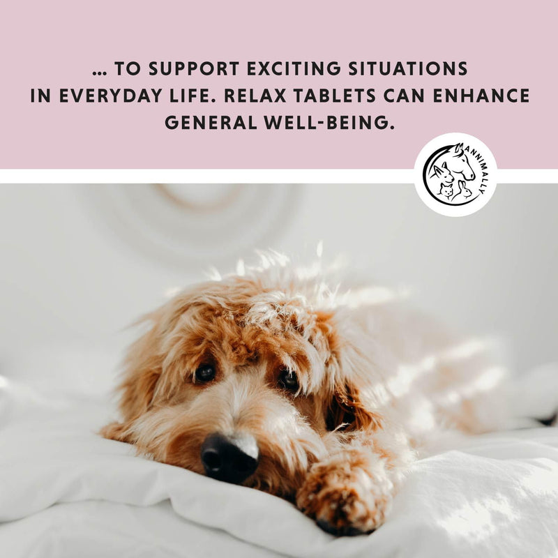 Annimally Relax Tablets for Dogs 120 pcs. - Daily Supplement with St John’s Wort, Valerian Root, L-Tryptophan & Vitamins, Made in Germany 120 Tablets for Small Dogs
