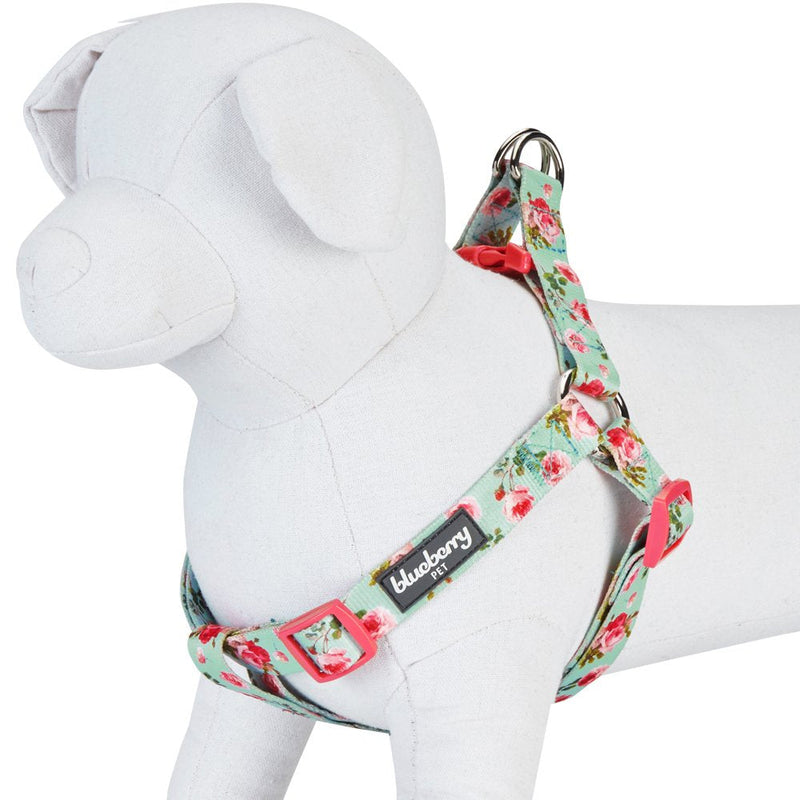 Blueberry Pet 9 Patterns Step-in Spring Scent Inspired Floral Rose Print Turquoise Dog Harness, Chest Girth 20" - 26", Medium, Adjustable Harnesses for Dogs (20" -26") Chest Girth (Pack of 1) - BeesActive Australia