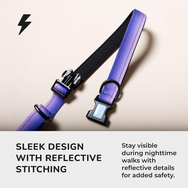 NeoFlex Premium Dog Leash - Stylish Leash for Medium, Small & Large Dogs - Heavy Duty, Wearable Design for You & Dog - Ideal for Pulling Dogs & Large Breeds - Durable & Comfortable - Purple