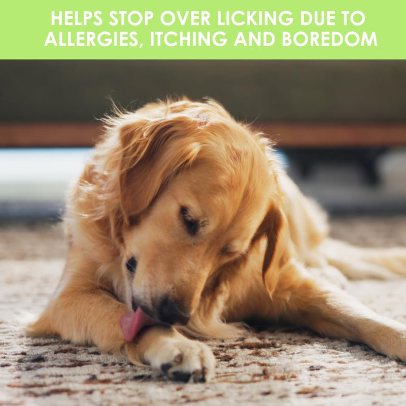 Kenic Anti-Chew Bitter Spray Deterrent for Dogs & Cats, Anti-Lick, No-Chew Training Aid, Safe for use on Furniture, Paws & Shoes & More, Made in USA Bitter - Anti-Lick & Chew 8oz