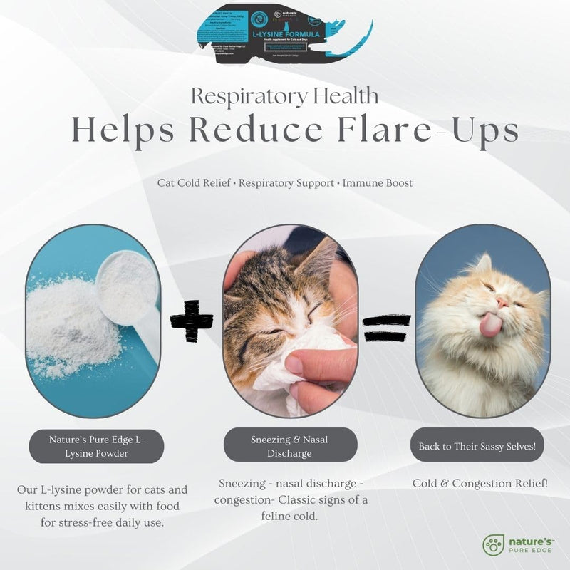 L-Lysine Powder for Cats and Kittens, Chicken Flavored Lysine Supplement for Cats and Kittens and Dogs to Support Immune Health, Normal Eye Function and Respiratory Health, Extra Large 125 Grams.