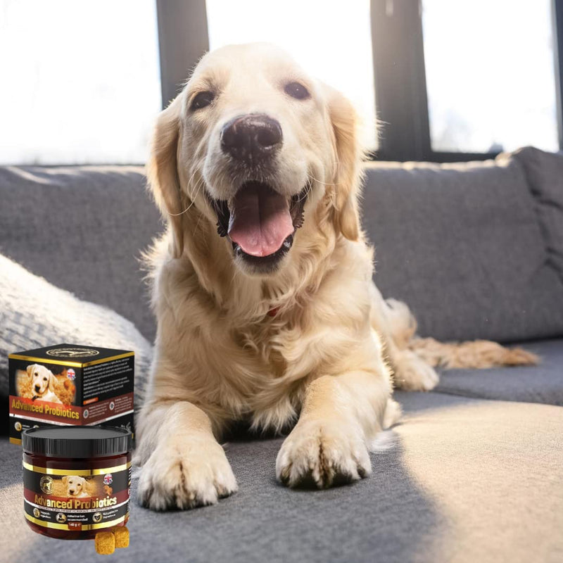 Advanced dog probiotics for gut health – 60 natural dog probiotic chews recommended by vet (Chicken flavour) Chicken flavour