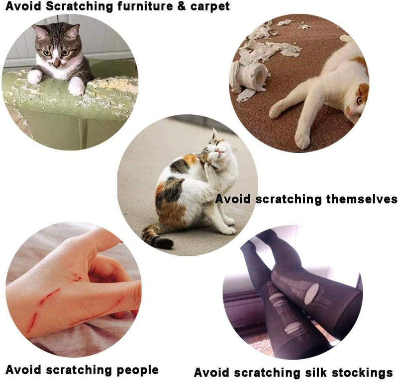 Zerodis Pack of 100 Cat Nail Cover Protector, Soft Pet Nail Cover Safe Anti Scratch Dog Paw Claw Protector Covers Claw Care for Cats Dogs (M-White) M white - BeesActive Australia