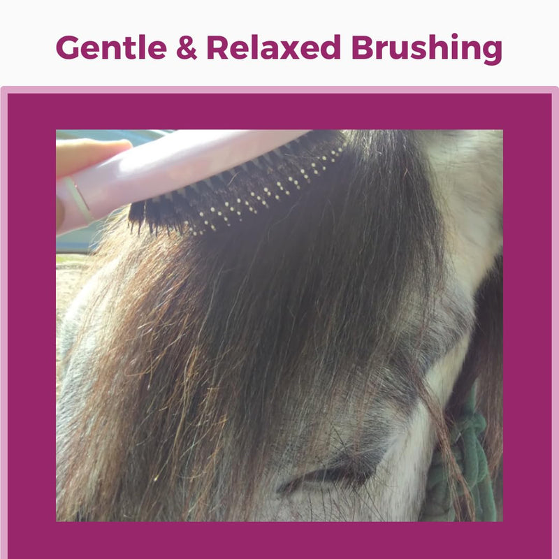 Mane & Tail Horse Grooming Brush, Natural Bristles & Nylon Pins, Detangles & Conditions Thick, Curly or Fine Equine Hair - BeesActive Australia