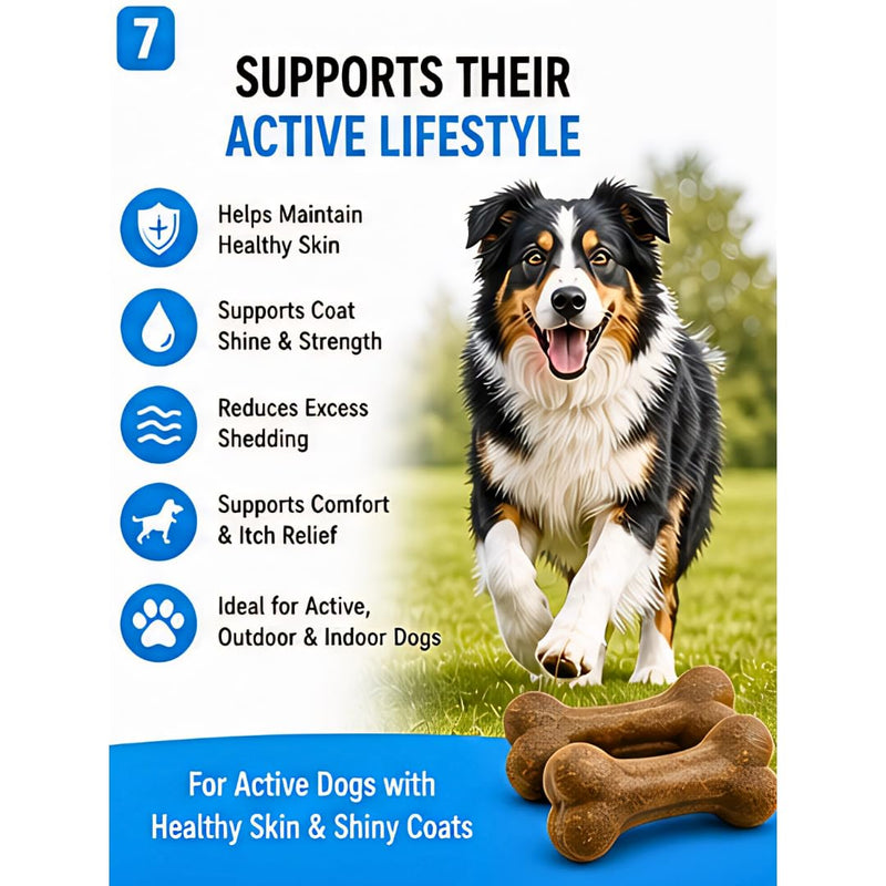Skin & Coat Dog Chews – 60 Soft Chews, 6.3 oz, Natural Chicken Flavor, Omega-3 & Vitamins for Healthy Skin & Shiny Coat