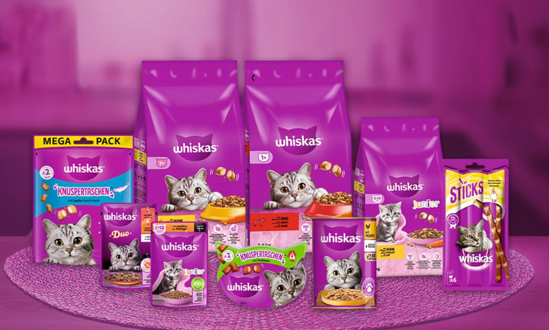 Whiskas Cat Milk x 200ml pack of 6