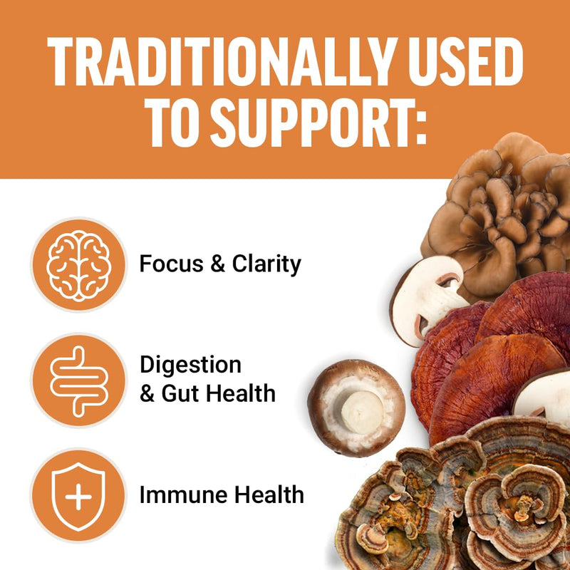 Force Factor Modern Mushrooms Soft Chews, Mushroom Supplement with Lions Mane, Turkey Tail, & Cordyceps to Support Energy, Focus, Immunity, & Digestion, Cinnamon Roll, 60 Soft Chews 60 Count (Pack of 1) - BeesActive Australia