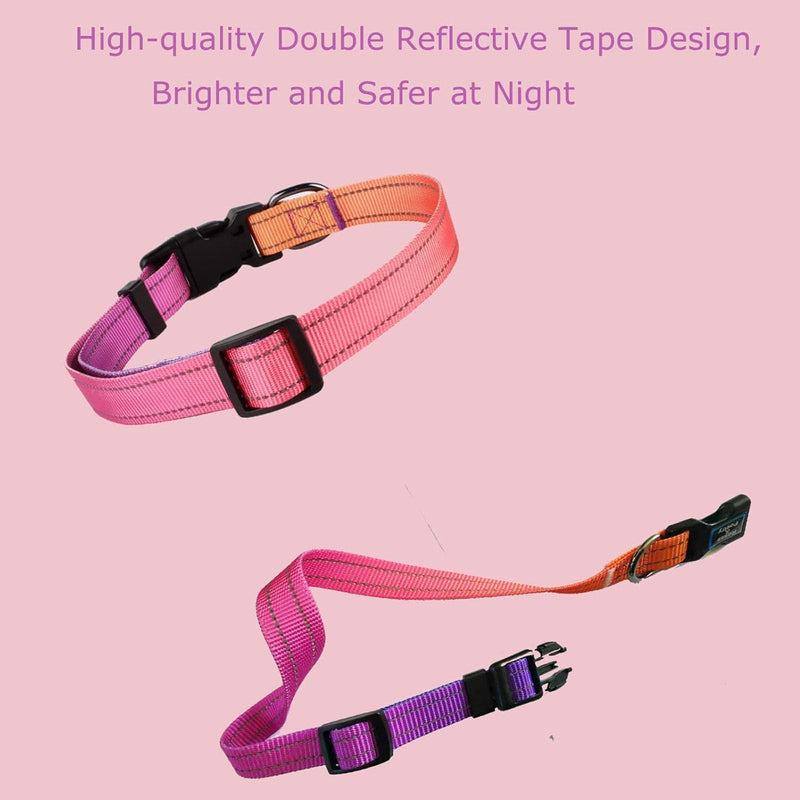Roses&Poetry Reflective Dog Collar with Gradient Mistyrose, Adjustable Durable Pet Collars for Small Medium Large Dogs (Mistyrose-M) - BeesActive Australia