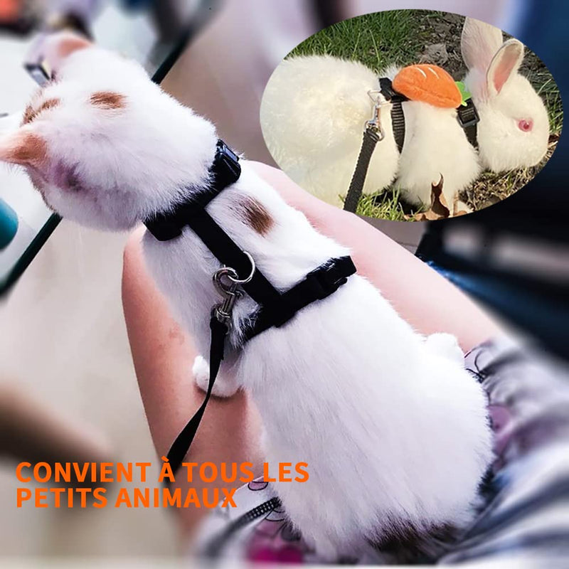 Cat harness with leash escape-proof, cat harness, adjustable cat leash with harness for cats, nylon cat leash, cat harness kitten for small cats and dogs - BeesActive Australia