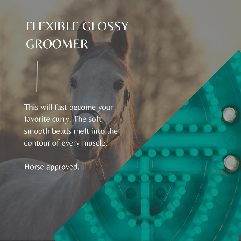 Epona Glossy Groomer (Turquoise) Horse Grooming Tool - BeesActive Australia