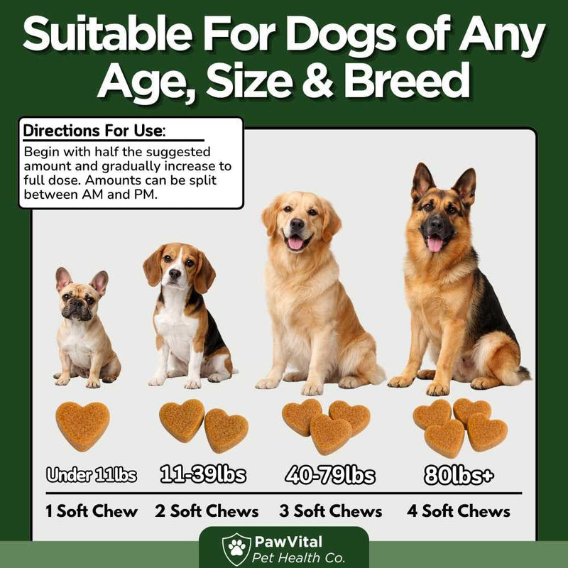 Super Greens Multivitamin Chews for Dogs – Dog Greens & Daily Dog Multivitamin with Spirulina, Chlorella, Probiotics & Enzymes for Immune, Gut, Skin & Energy Support – Beef Liver – 150 Chews