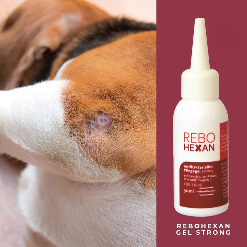 Gel Strong 50 ml: High Viscous Care Gel for Animal Wounds, Accelerates Wound Healing, Reduces Scars, Prevents Sticking to Dressings, Ideal for Skin Care