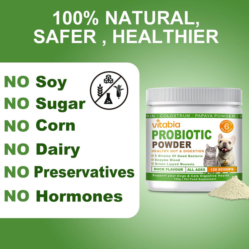 Probiotics For Dogs and Cats Powder - Natural Dog Treats For Gut Health, Itchy Skin Relief, Scooter Gland Treatment For dogs cats With Green Lipped Mussels, Psyllium Husk, Pumpkin, Probiotics Dog