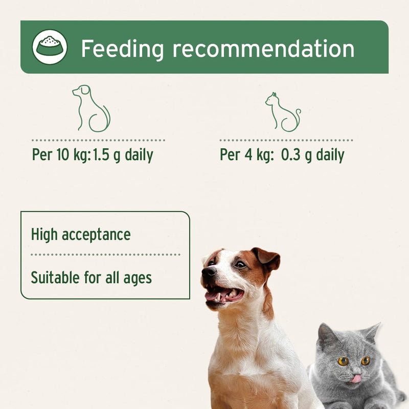 AniForte Egg Shell Powder 250g Calcium for Dogs & Cats - Natural Calcium Source, Supports Bones & Teeth, Egg Shell Powder for Barf, High Bioavailability 250 g (Pack of 1)