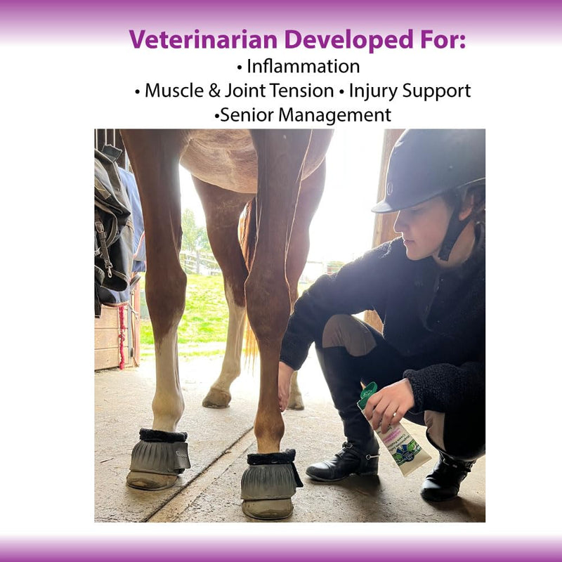 Dr. Milt's Hip and Joint Care, Horse Liniment for The Horse and Rider. 3 Pack - Cream, Gel and Spray. 1.83 Ounce (Pack of 3) - BeesActive Australia