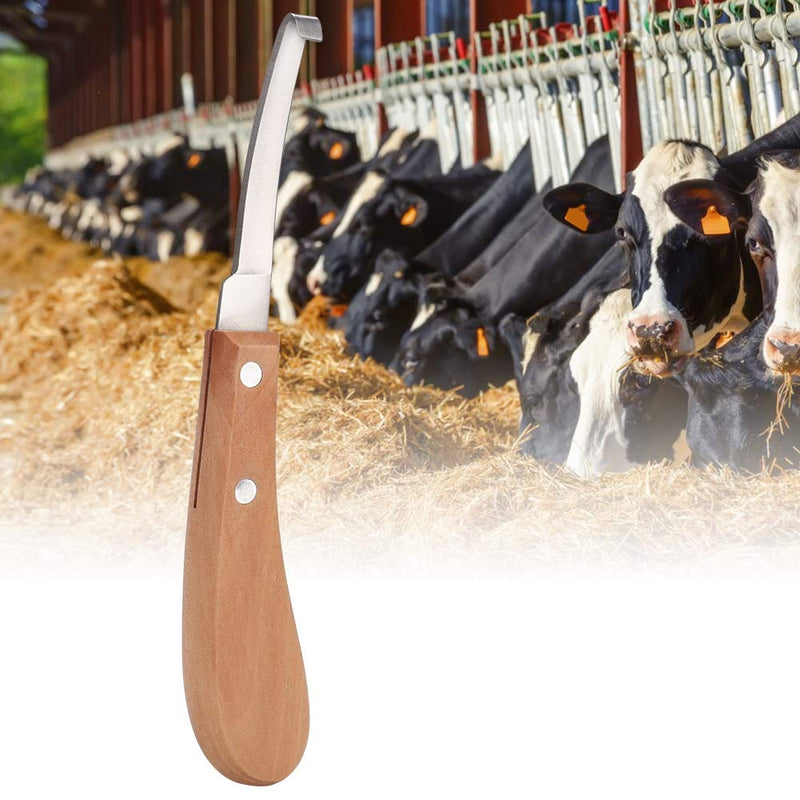 Sharper Hoof Knife, Left or Right Hand Farrier Tools, Carbon Steel Hoof Knife Trimming Tool for Cattle Horse Use, 21.5cm / 8.5 Inch Length, High Strength, Not Easy to Break (Straight Right Hand) straight right hand - BeesActive Australia