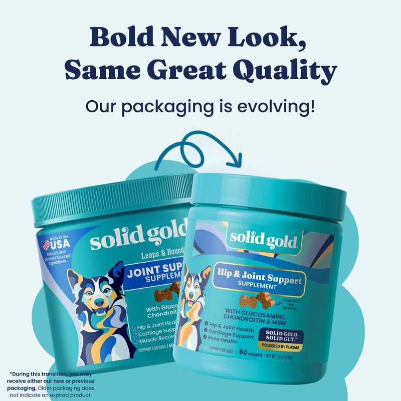 Solid Gold Hip and Joint Supplement for Dogs - Glucosamine Chondroitin MSM for Advanced Joint & Mobility Support - Omega 3 Fish Oil Antioxidant & Immune Health Support Complete Joint Health - 60 Chews