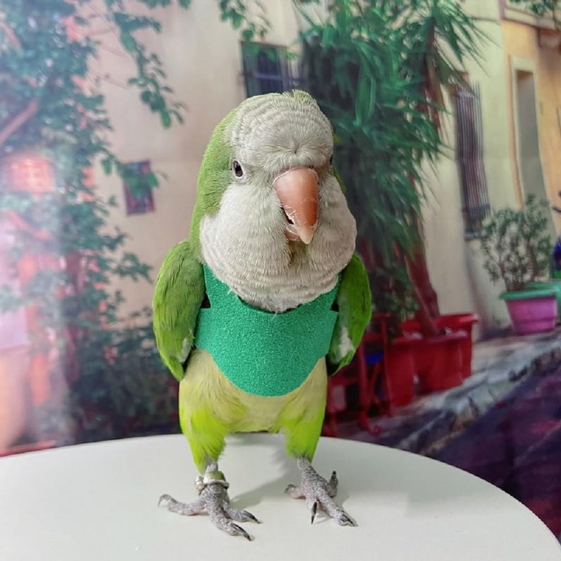 PARREN Bird Flight Harness Vest, Parrot Flight Suit with Leash for Parakeets, Bird Flying Clothes with Rope and Handle for Outdoor Activities Training, Anti Bite (M), Green M
