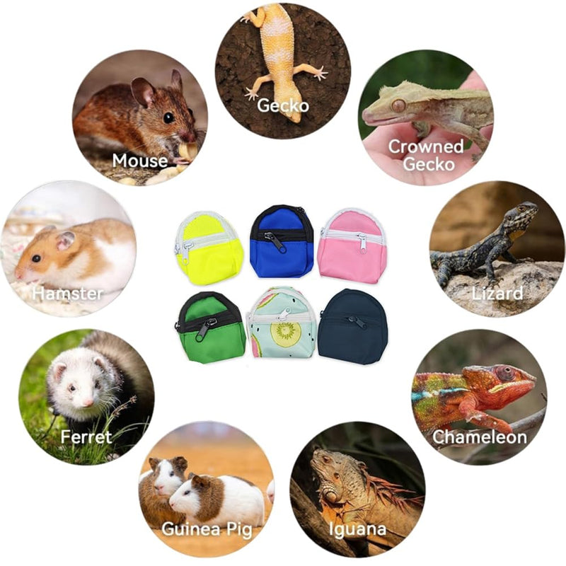 Bearded Dragons Harness Leashes Set Cute Backpack Back to School Design for Small Pets Reptile Lizard Crested Gecko Chameleon Rat Hamster Squrriel Ferret Photo Shoot (Green) Green - BeesActive Australia