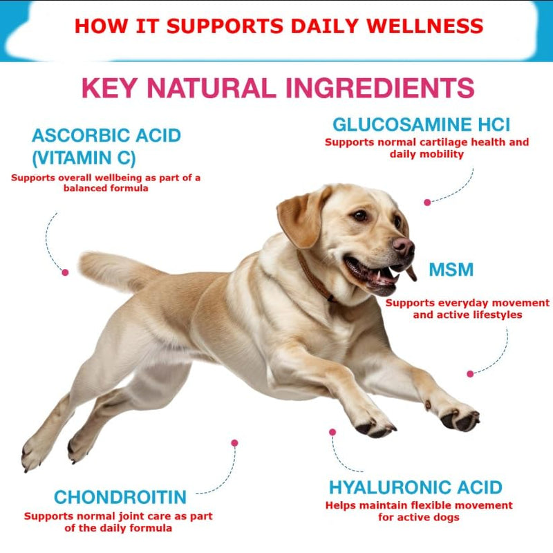 Joint Supplements for Dogs, Pain Relief for Dogs, Dog Joint Supplements for Senior Dogs, Chondroitin Drops for Dogs, Hip & Joint Glucosamine Drops for Dogs, Mobility Pain Relief, Natural Formula, 60ML