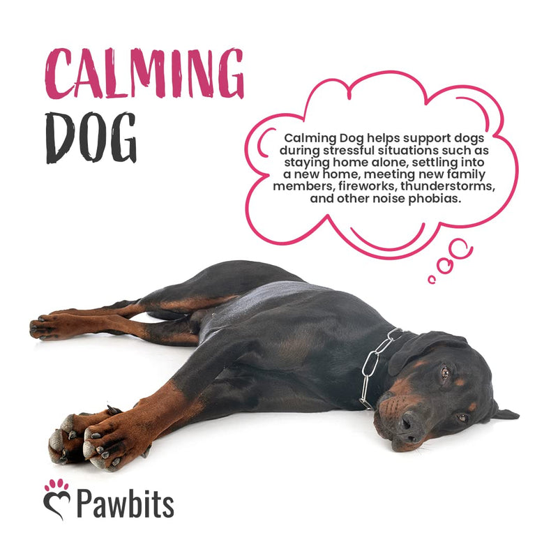 180 Pawbits Calming Tablets Supplement for Anxious & Hyperactive Dogs Calms Relaxes & Non-Sedative Dog Calming Tablets Fireworks, Behavioural Issues, Travel & Vet Visits Natural Calm Aid (180 tablets) 180 Tablets