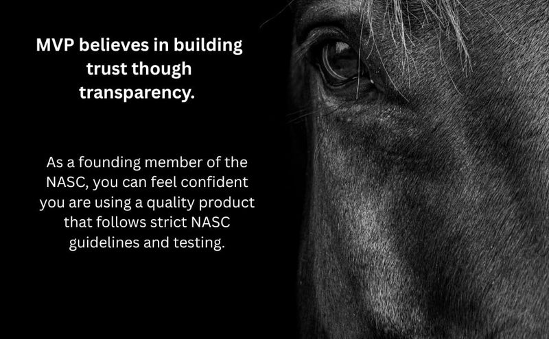 MVP Gastro-Plex Paste (2 dose tube) Gastric Stress Relief Paste for Horses